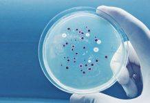 Toprakta Yeni Bir Antibiyotik Familyası Keşfedildi