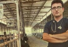 Muğla’da veteriner hekim trafik kazasında hayatını kaybetti